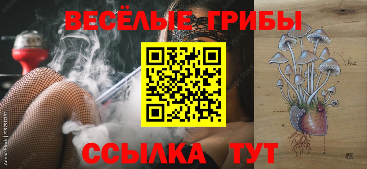 Галлюциногенные грибы Psilocybine cubensis  Псилоцибиновые грибы GOLDEN TEACHER  Вход с VPN  Лабинск 